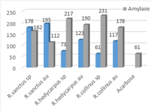 شكل (3) مقارنة قيم IC50 (مكغ\مل) لتثبيط أنزيم الألفاأميلاز للعينات والشاهد Acarbose ومقارنتها مع المحتوى الفينولي