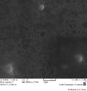 الشكل (5): صور المجهر الالكتروني الماسح (SEM) للصيغة F9S